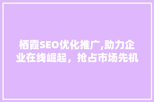 栖霞SEO优化推广,助力企业在线崛起，抢占市场先机