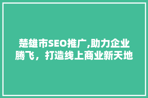 楚雄市SEO推广,助力企业腾飞，打造线上商业新天地