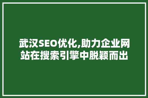 武汉SEO优化,助力企业网站在搜索引擎中脱颖而出