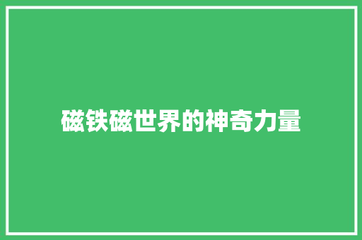 磁铁磁世界的神奇力量