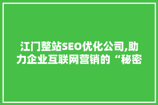 江门整站SEO优化公司,助力企业互联网营销的“秘密武器”