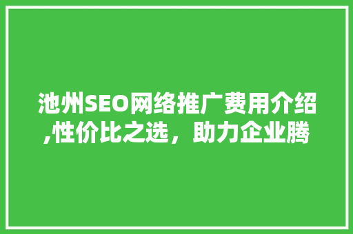 池州SEO网络推广费用介绍,性价比之选，助力企业腾飞