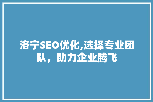 洛宁SEO优化,选择专业团队，助力企业腾飞