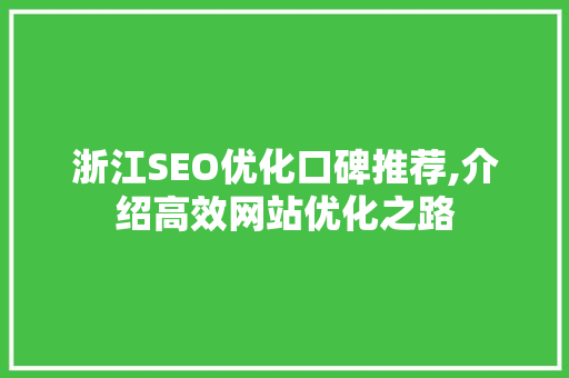 浙江SEO优化口碑推荐,介绍高效网站优化之路