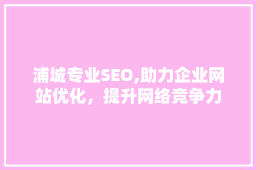 浦城专业SEO,助力企业网站优化，提升网络竞争力