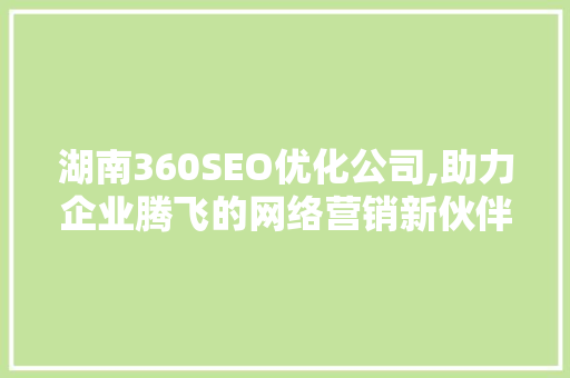 湖南360SEO优化公司,助力企业腾飞的网络营销新伙伴