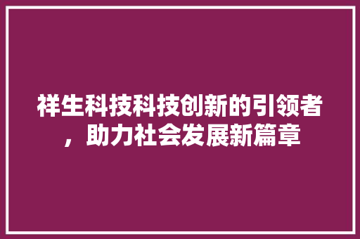 祥生科技科技创新的引领者，助力社会发展新篇章