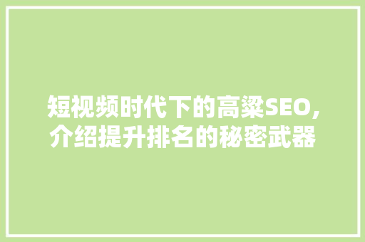 短视频时代下的高粱SEO,介绍提升排名的秘密武器