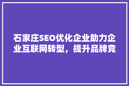 石家庄SEO优化企业助力企业互联网转型，提升品牌竞争力