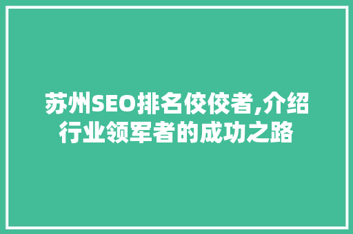 苏州SEO排名佼佼者,介绍行业领军者的成功之路