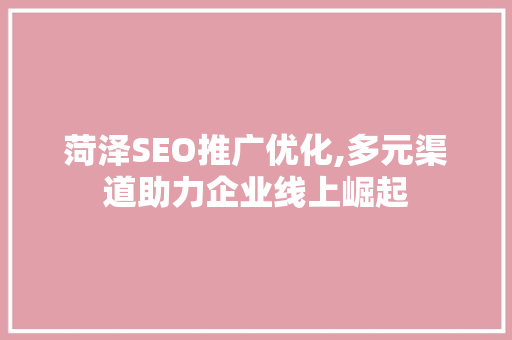 菏泽SEO推广优化,多元渠道助力企业线上崛起