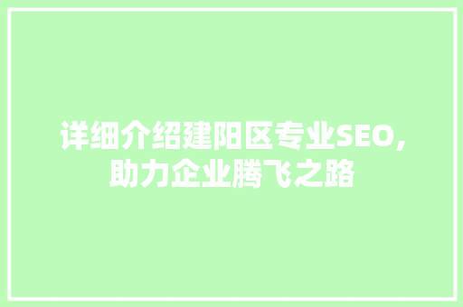 详细介绍建阳区专业SEO,助力企业腾飞之路