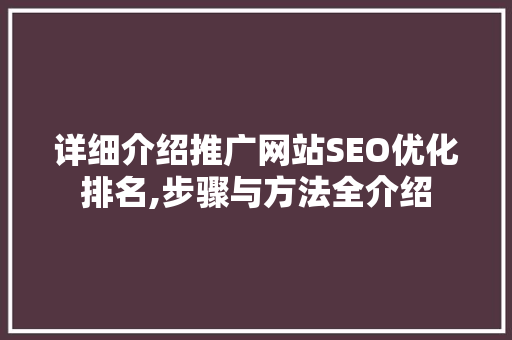 详细介绍推广网站SEO优化排名,步骤与方法全介绍