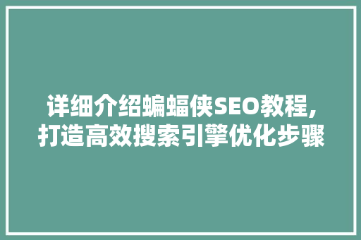 详细介绍蝙蝠侠SEO教程,打造高效搜索引擎优化步骤