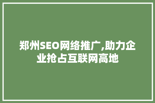郑州SEO网络推广,助力企业抢占互联网高地
