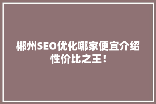 郴州SEO优化哪家便宜介绍性价比之王！