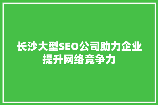 长沙大型SEO公司助力企业提升网络竞争力