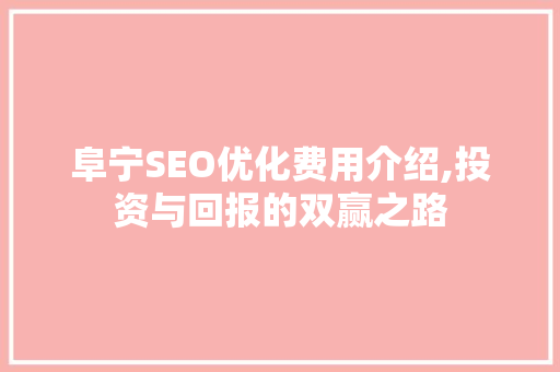 阜宁SEO优化费用介绍,投资与回报的双赢之路