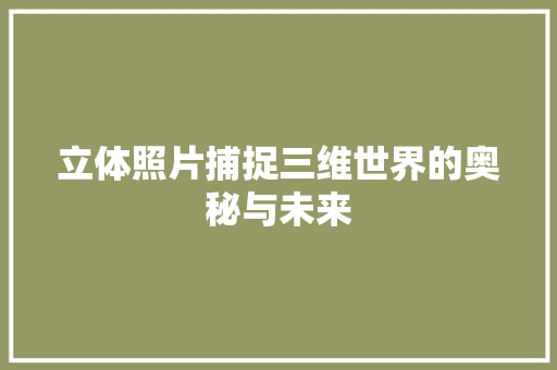 立体照片捕捉三维世界的奥秘与未来