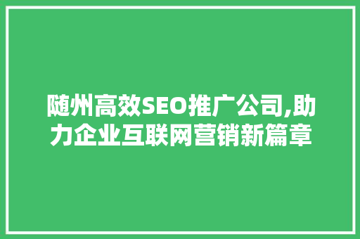 随州高效SEO推广公司,助力企业互联网营销新篇章
