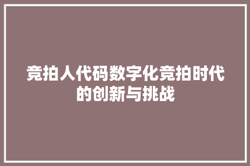 竞拍人代码数字化竞拍时代的创新与挑战