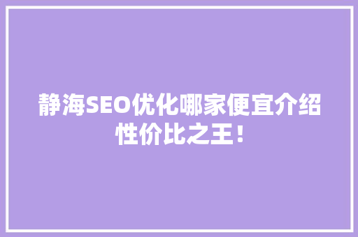 静海SEO优化哪家便宜介绍性价比之王！