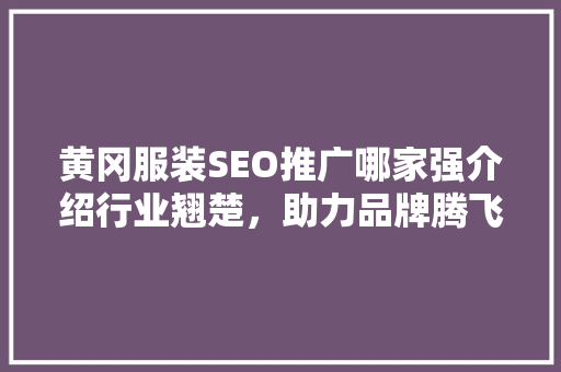 黄冈服装SEO推广哪家强介绍行业翘楚，助力品牌腾飞