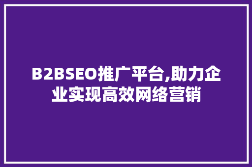 B2BSEO推广平台,助力企业实现高效网络营销