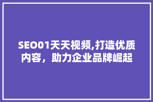 SEO01天天视频,打造优质内容，助力企业品牌崛起  第1张