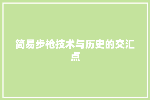 简易步枪技术与历史的交汇点