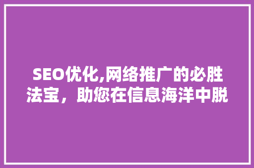 SEO优化,网络推广的必胜法宝，助您在信息海洋中脱颖而出