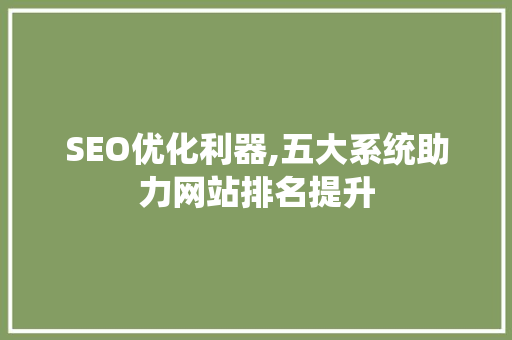 SEO优化利器,五大系统助力网站排名提升