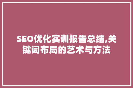 SEO优化实训报告总结,关键词布局的艺术与方法