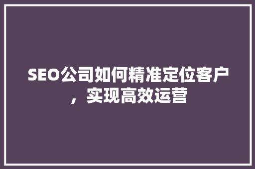 SEO公司如何精准定位客户，实现高效运营