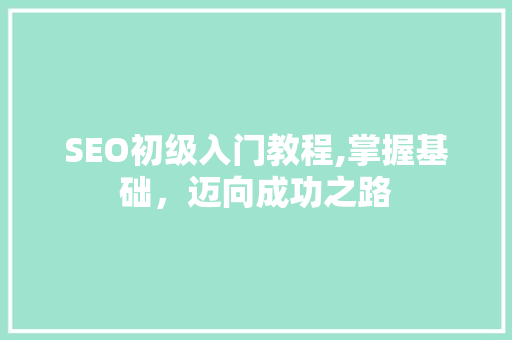 SEO初级入门教程,掌握基础，迈向成功之路