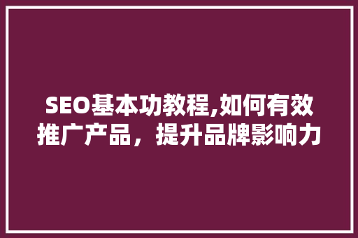 SEO基本功教程,如何有效推广产品，提升品牌影响力