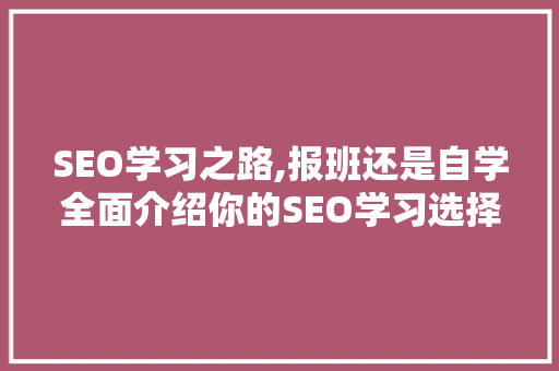 SEO学习之路,报班还是自学全面介绍你的SEO学习选择