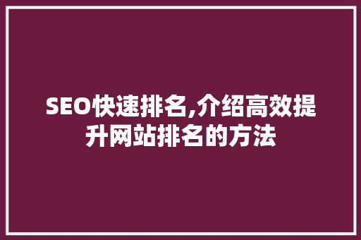 SEO快速排名,介绍高效提升网站排名的方法