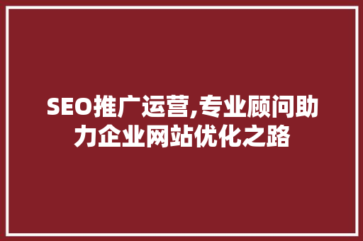 SEO推广运营,专业顾问助力企业网站优化之路