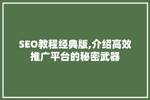 SEO教程经典版,介绍高效推广平台的秘密武器  第1张