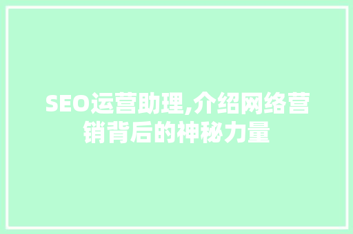 SEO运营助理,介绍网络营销背后的神秘力量