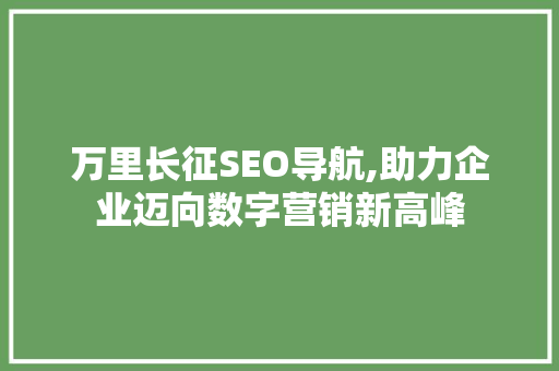万里长征SEO导航,助力企业迈向数字营销新高峰
