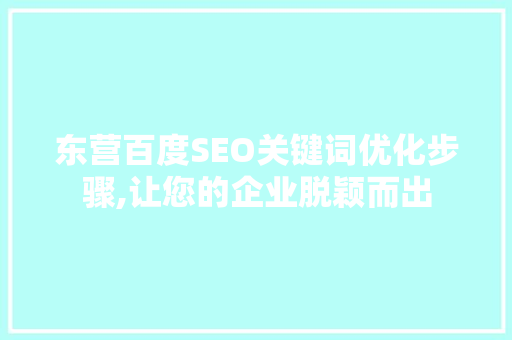 东营百度SEO关键词优化步骤,让您的企业脱颖而出