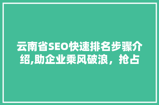 云南省SEO快速排名步骤介绍,助企业乘风破浪，抢占互联网先机