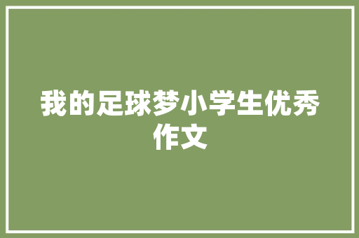 介绍SEO优化外包公司选择之路,如何找到最适合您的合作伙伴
