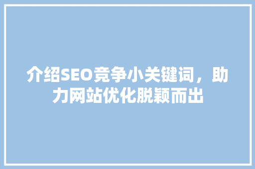 介绍SEO竞争小关键词，助力网站优化脱颖而出