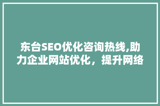 东台SEO优化咨询热线,助力企业网站优化，提升网络竞争力
