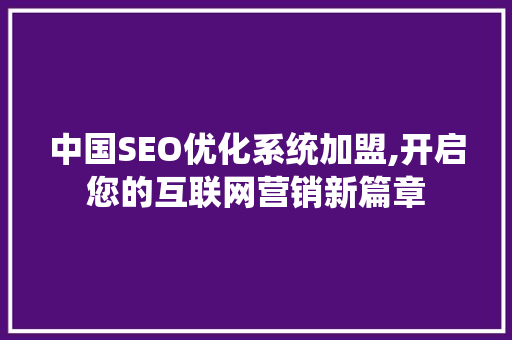 中国SEO优化系统加盟,开启您的互联网营销新篇章