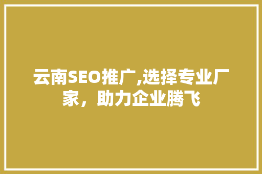 云南SEO推广,选择专业厂家，助力企业腾飞