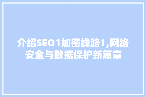介绍SEO1加密线路1,网络安全与数据保护新篇章